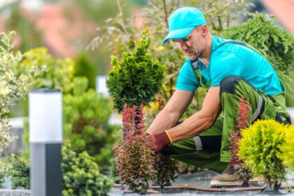 Paulo Augusto Berchielli