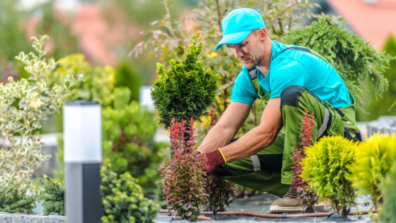 Paulo Augusto Berchielli