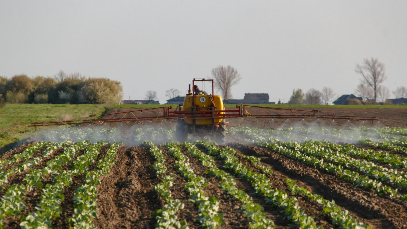 A IA na previsão de pragas transforma o manejo agrícola, afirma Aldo Vendramin.

