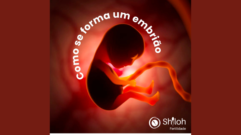 Infertilidade masculina e resistência androgênica parcial ganham destaque nos estudos de Oluwatosin Tolulope Ajidahun.