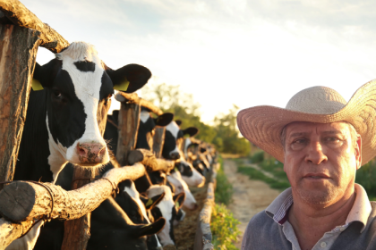 Ricardo Chimirri Candia analisa os principais desafios que as empresas enfrentam ao adotar práticas sustentáveis e de economia circular.